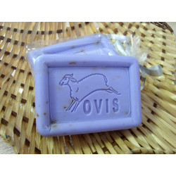Sheep's milk soap - lavender